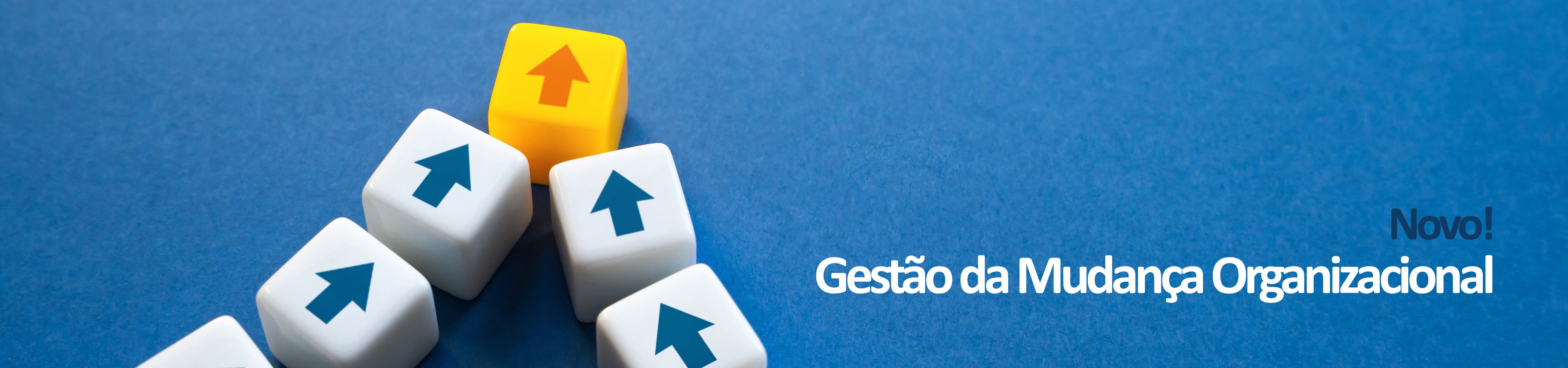 Gestão da Mudança Organizacional