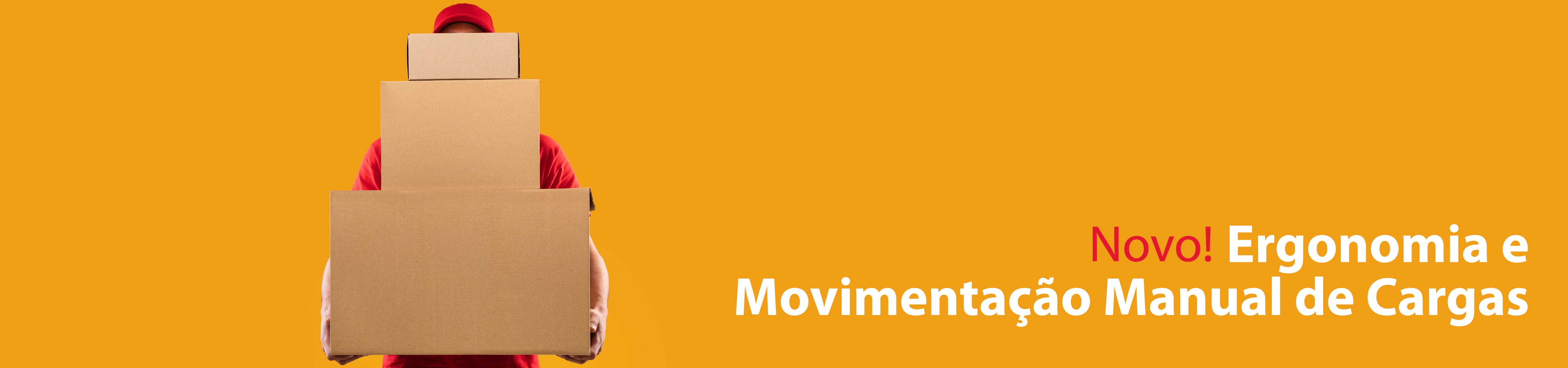 Ergonomia e Movimentação Manual de Cargas