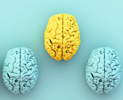 Neurocognição