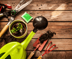 Como Planear um Jardim