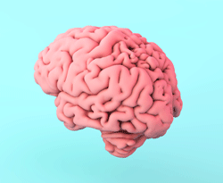 Princípios Fundamentais de Neuromarketing