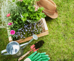 Prática Terapêutica da Floricultura e Jardinagem