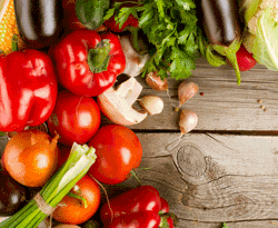 Catering e Protocolo